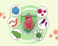 healthy gut and immunity